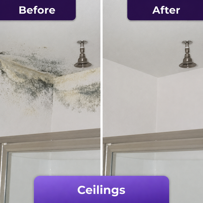 Make this the Last Time You Have to Clean that Mold
