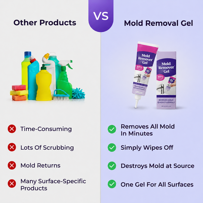 Make this the Last Time You Have to Clean that Mold