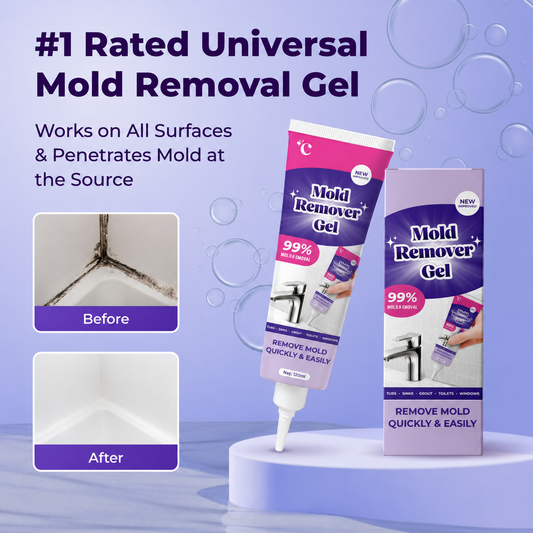 Make this the Last Time You Have to Clean that Mold
