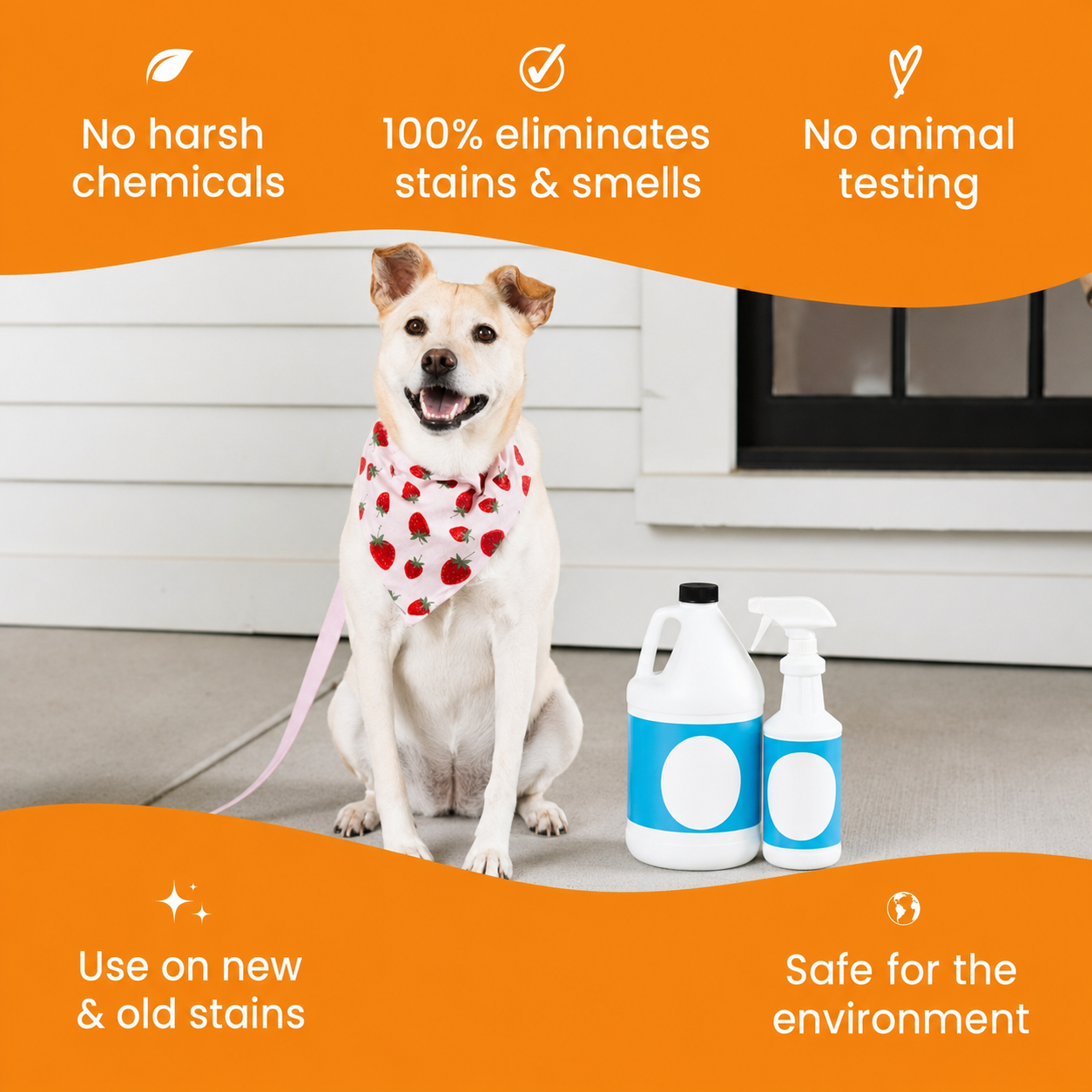 pet stain & strong odor eliminator
